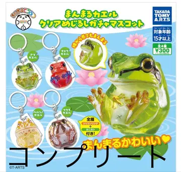 만마루 개구리 클리어 메지루시 가챠 마스코트 전 4종 컴플리트 세트