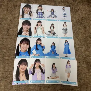 오타 미즈키 16종 컴프 히나탄사이 몽그루 JOYFUL 파스텔