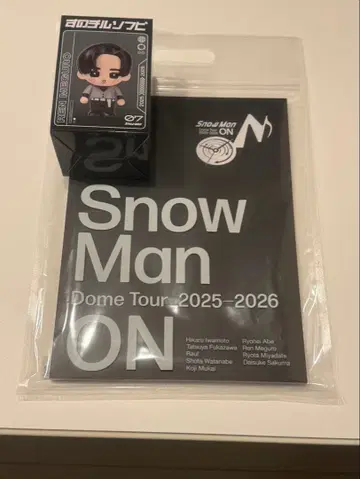 SnowMan 메구로 렌 스노치루 소프트 비닐, ON 팜플렛
