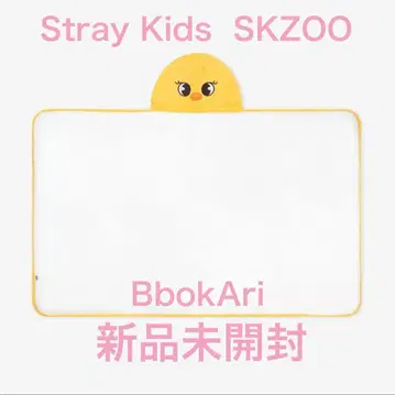Stray Kids 담요 [ BbokAri ]