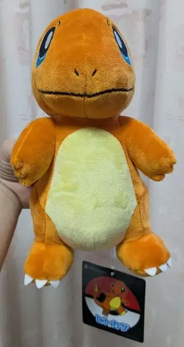 포켓몬 봉제 인형 리자드 새상품급