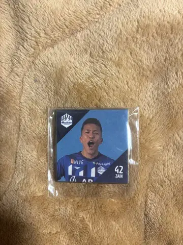 몬테디오 야마가타 이사카제인 미니 색지