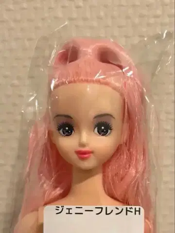 미개봉 새상품 인형 제니 프렌드 H 호시자와 나나코 리카짱 캐슬