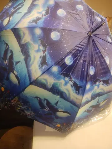 크리스천 리 라센 점프 우산 블루 월드 2 CL-03004