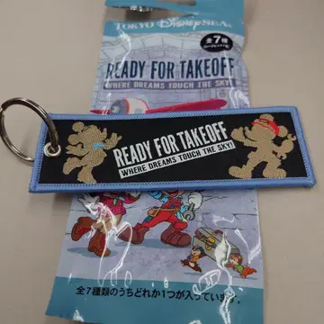 디즈니씨 드림스테이크플라이트 플라이트 택 시크릿 레어