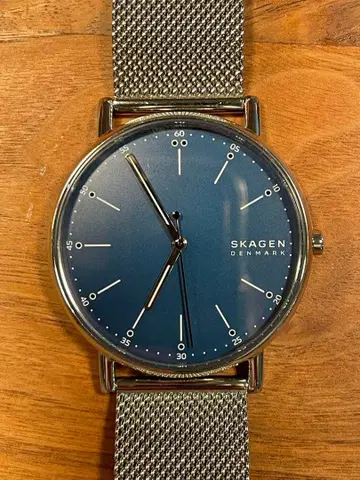 스카겐 남성용 손목시계