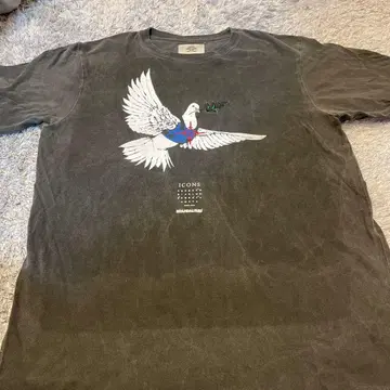 STOF 노려진 비둘기 뱅크시 S 사이즈