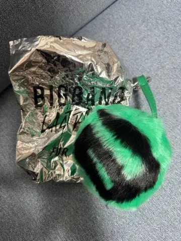 BIGBANG T.O.P 퍼 참