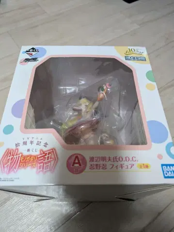 완전 미개봉 모노가타리 시리즈 오시노 시노부 A상 피규어