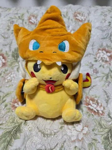 포켓몬스터 리자몽Y의 판초 피카츄 봉제 인형 협의 가능