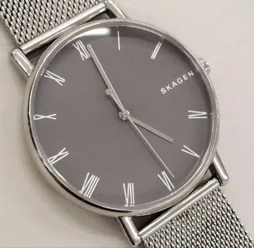 새상품급 SKAGEN 스카겐 손목시계 실버