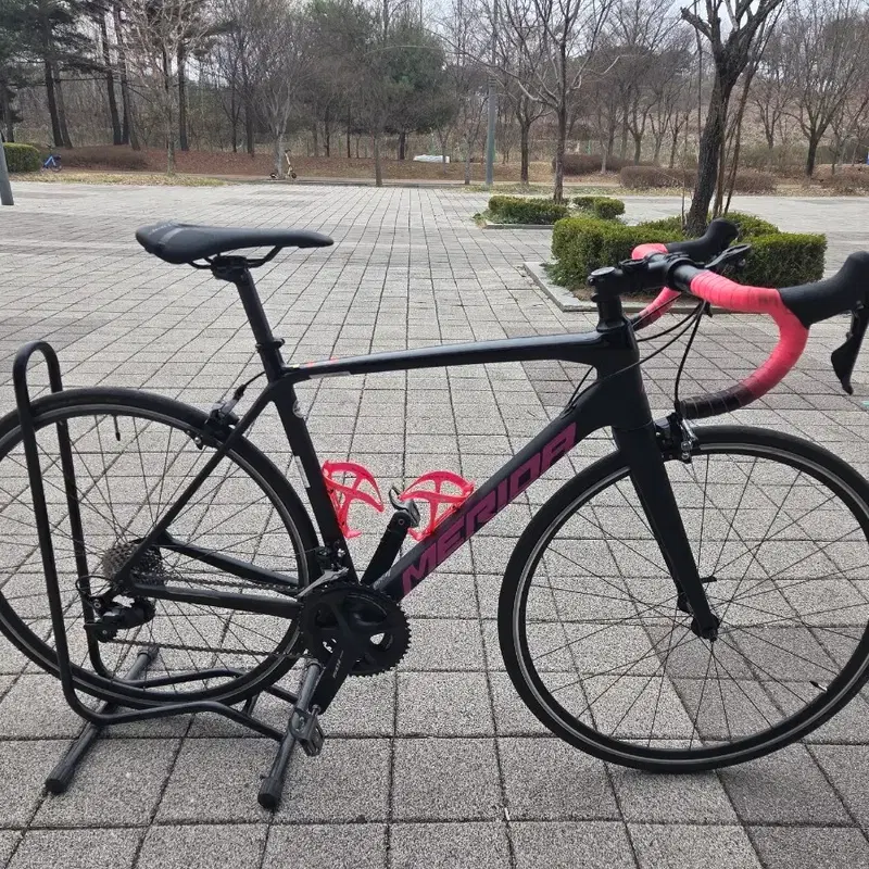 메리다 스컬트라 4000림