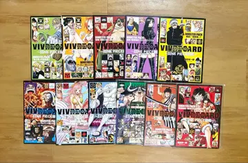 ONE PIECE 원피스 비브르 카드 원피스 도감