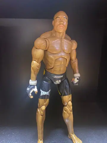 ufc 피규어 앤더슨 실바 PRIDE RIZIN UFC