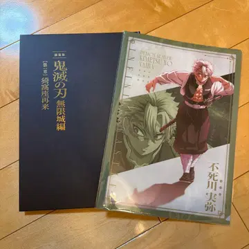 귀멸의 칼날 무한성편 팜플렛과 파일