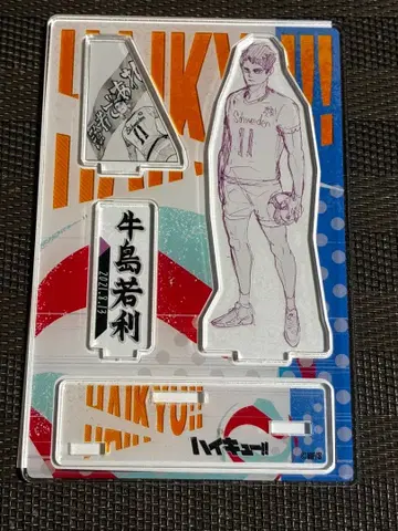 하이큐!! 우시지마 와카토시 벌스데이 아크릴 스탠드