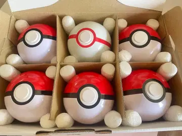 [ 익명 배송 ] 포케파크 칸토 몬스터볼 5개 프리미어볼 1개