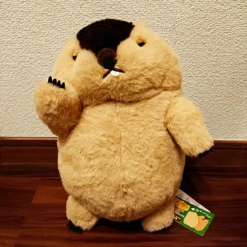 두더지 봉제 인형 빅