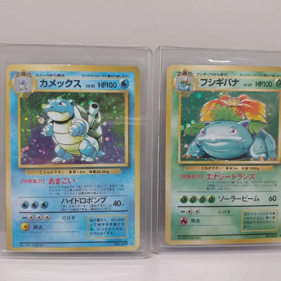 First Edition Venusaur on Bunjang Global Site.