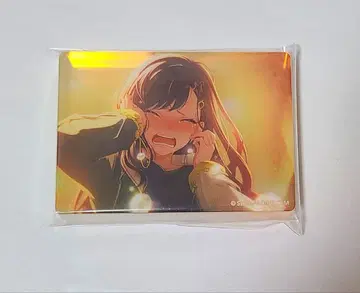 시라이시 안 프로세카 노블 아트 노블 65