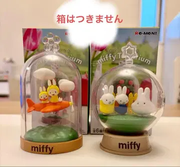 miffyTerrarium 즐거운 매일