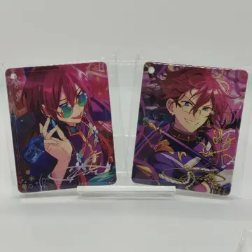 앙스타 애니카페 코롯타 [사에구사 이바라] 세트