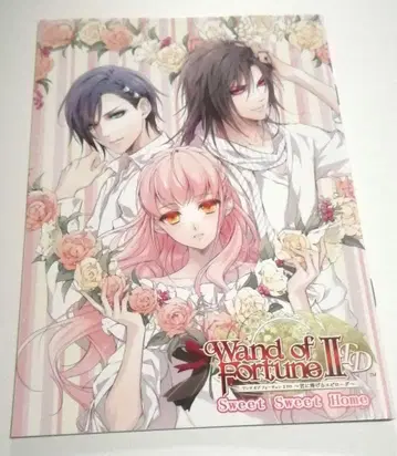 완드 오브 포춘 2FD 너에게 바치는 에필로그 스텔라 세트 특전 소책자