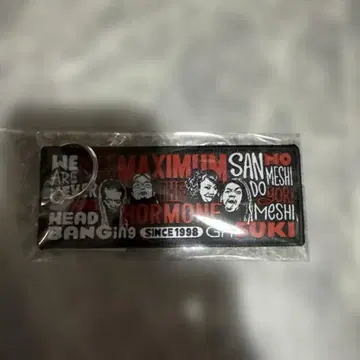 맥시멈 더 호르몬 MTH U.S.POP 플라이트 택