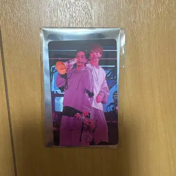 우라시마사카타센 시마 센라 WARN12G 랜덤 미니 포토 카드