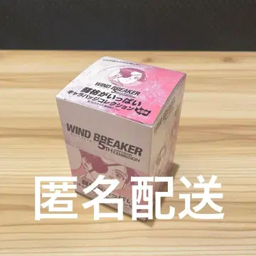 WIND BREAKER 윈브레전 스오 하야토