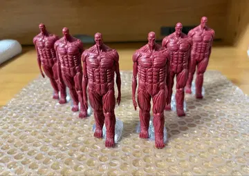 [ 새상품급 ] 진격의 거인 제일복권 지진 피규어 6개 세트