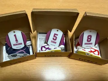 하이큐!! 미니어처 신발 컬렉션 vol.2 우시지마 텐도 고시키 세트