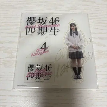 사쿠라자카46 아크릴 스탠드 4기생 나카가와 치히로