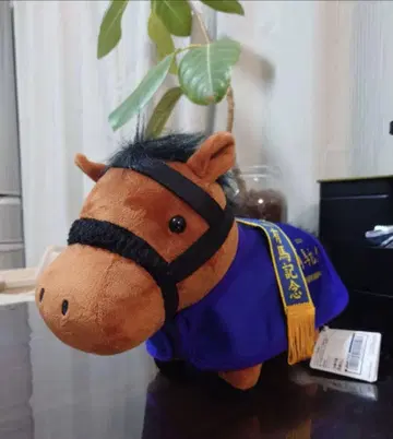 에프포리아 서러브레드 컬렉션