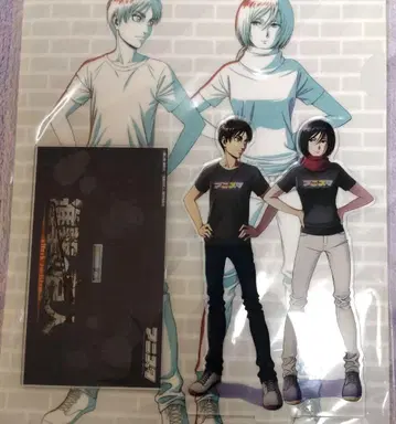 진격의 거인 아니스타 엘렌 미카사 아크릴 스탠드 클리어 파일