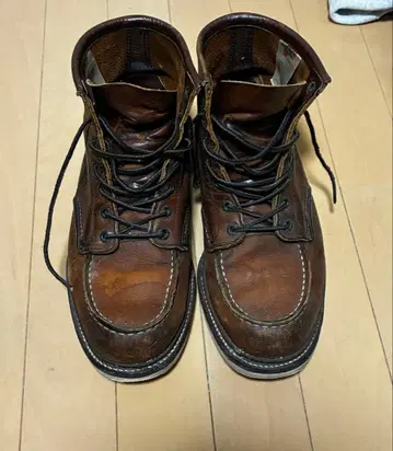 RED WING 아이리쉬 세터