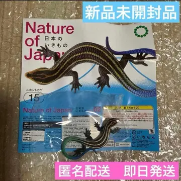 네이처 테크니컬러 일본의 생물 02 일본 도마뱀 15 미개봉 새상품