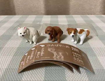 굼벵이 굼벵이 피규어 토이 푸들 포메라니안 등 3개