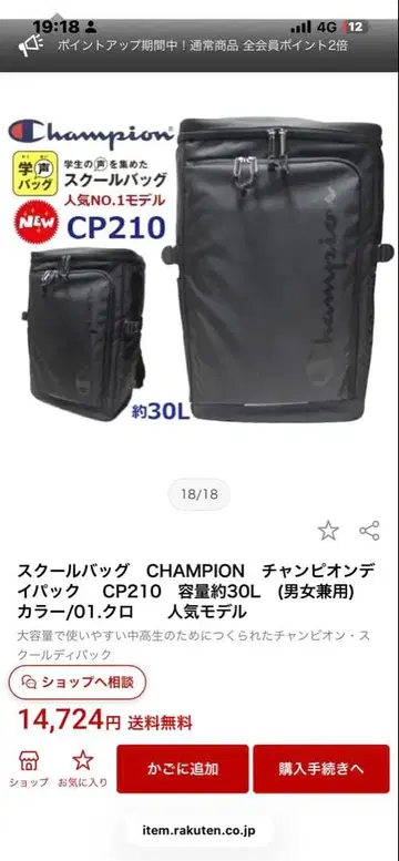 Champion CP210 백팩 약 30L 블랙