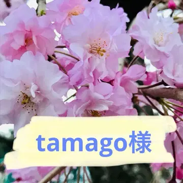 타마고님 리퀘스트