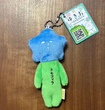 유키오 언제나의 친구 네모필라 절경 블루