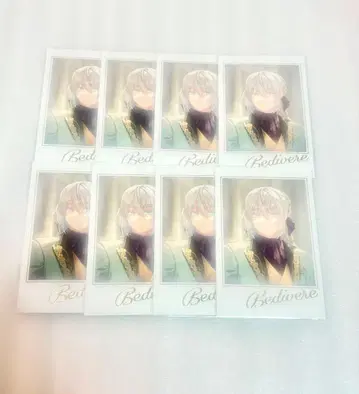 fgo 페스티벌 포트레이트 세트 베디비에르