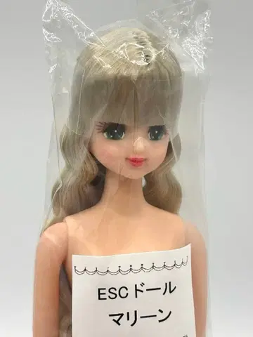 마린 리카짱 캐슬 즐거운 인형 블론드 계열 제니 프렌드