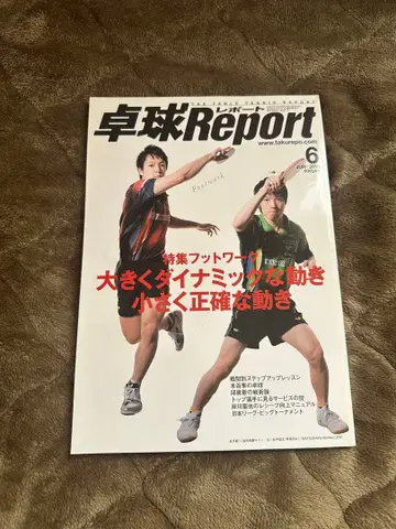 탁구 Report 2013년 6월, 8월, 10월, 11월, 12월 세트