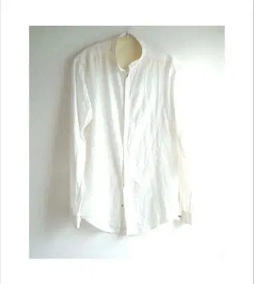 Daniel Andresen Shirts