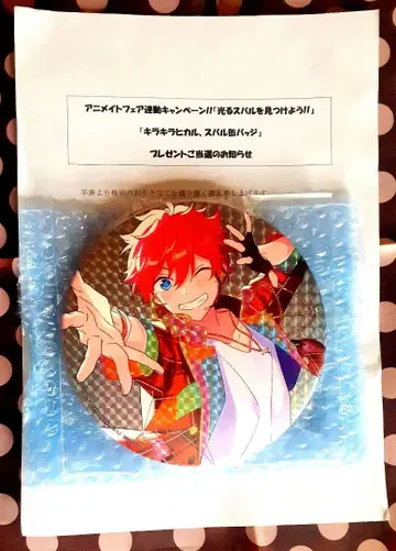 앙스타 반짝반짝 히카루 스바루 캔뱃지 아케호시 스바루