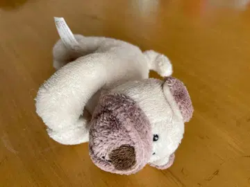 nici 퍼그? 불독? 마그넷 마그니키