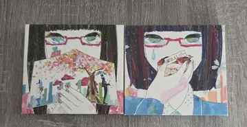 DECO*271 상애성 이론 2 애미 엘레지 초회 한정판