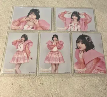 큐스트 사쿠라바 하루카 파루탄 생사진 귀엽기만 하면 안 돼? 타워 레코드