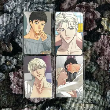 한국 BL Backlight 트레이딩 카드 4장